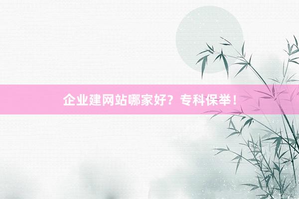 企业建网站哪家好？专科保举！